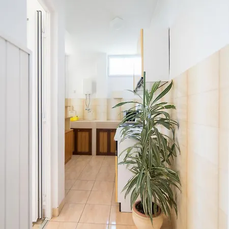 Apartament Vrandecic *